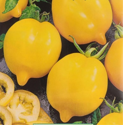 Rajčatová citrusová zahrada