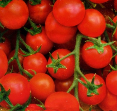 Tomato Caramel red