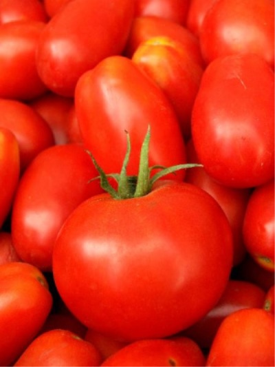 Tomaten Kronprinz