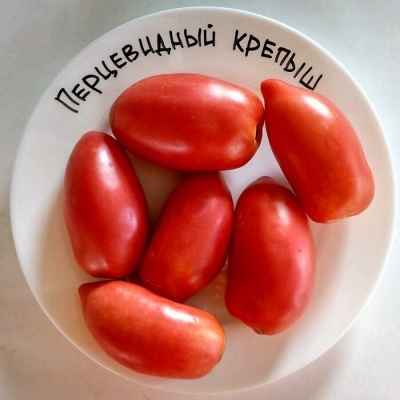 Tomate starker Pfeffer