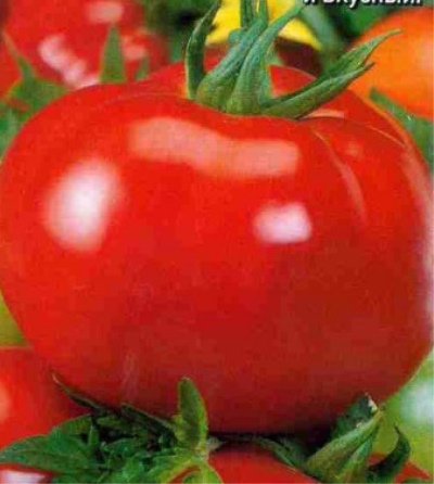 Tomato Pyshka