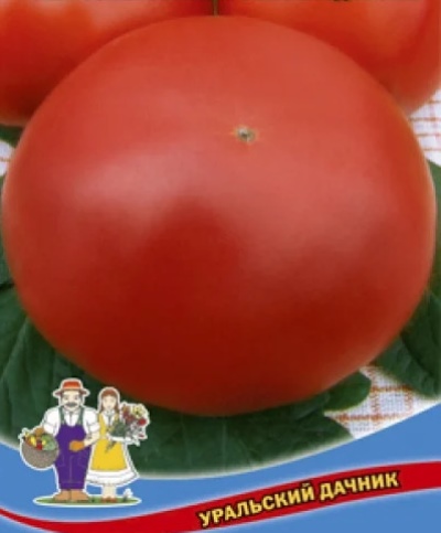 Relámpago de azúcar de tomate