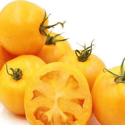 Soleil d'été de tomate