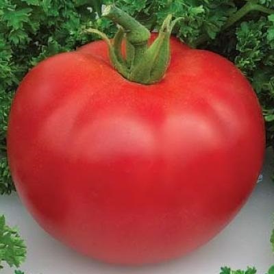 Klobouk z rajčat Monomakh