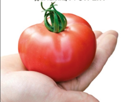 Tomaten Strega