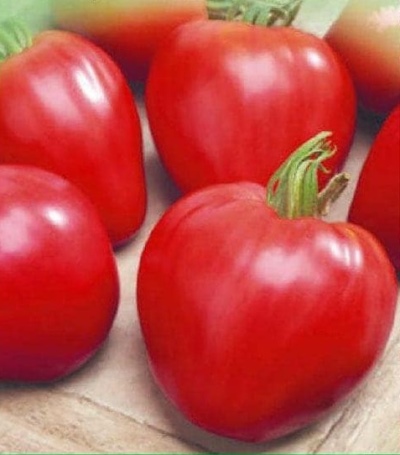 Pán paradajok