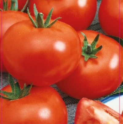 Tomat Yamal