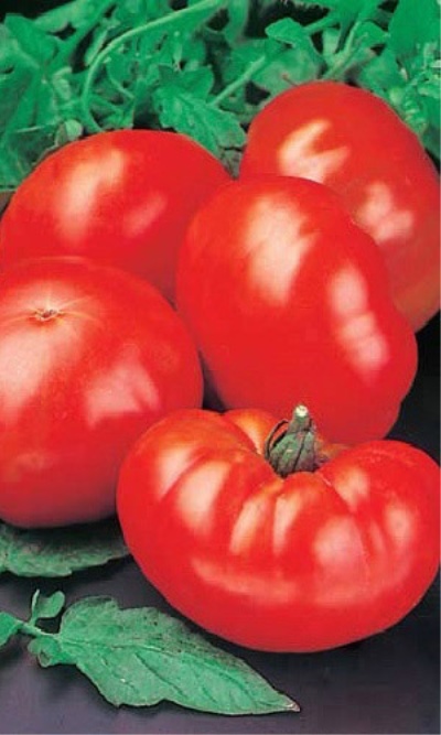 Japansk tomatkrabbe