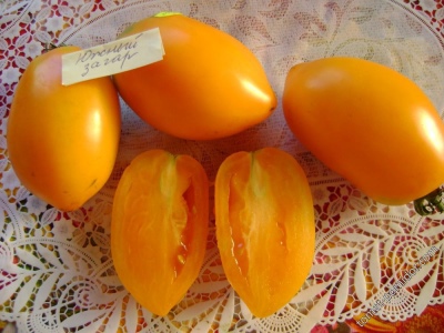 Tomate South Tan
