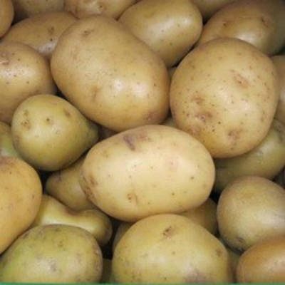 Kartoffel agat