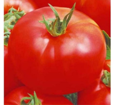 Tomato Alei