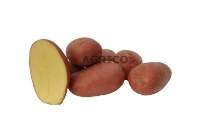 Aluet aardappelen
