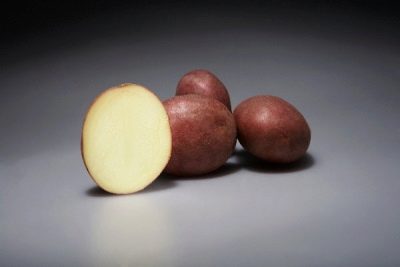 pommes de terre d'alvar