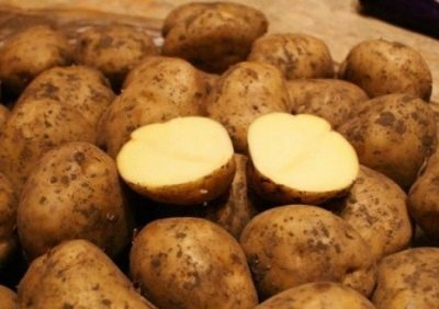 Pommes de terre Belmond