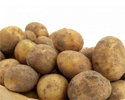 Batatas Borovichok