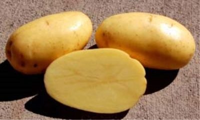 Želé brambory