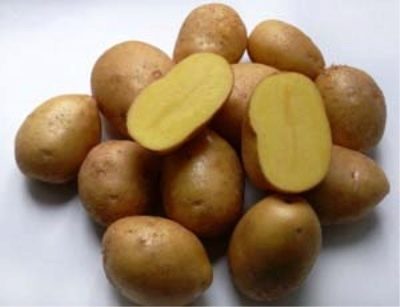 pommes de terre impalas