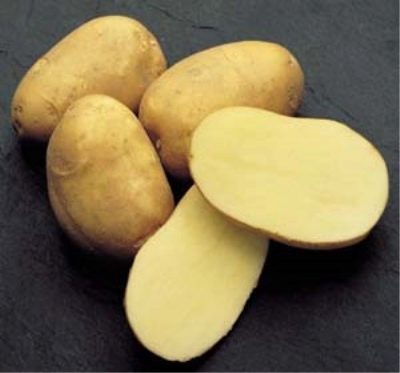 Innovador de patatas