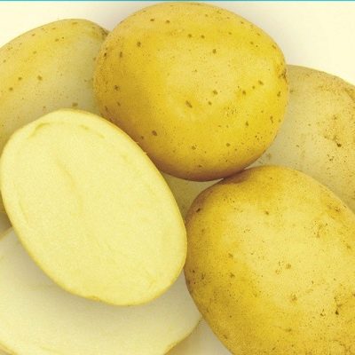 Krepysh de pommes de terre