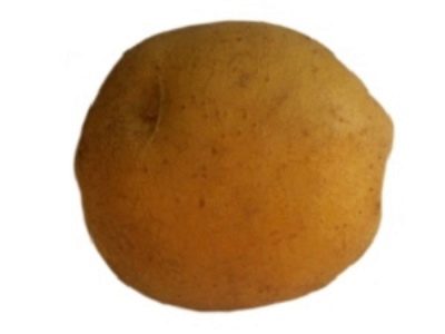 Lasunok-Kartoffeln