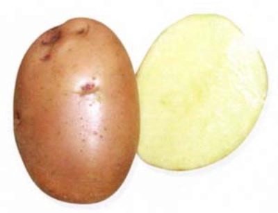 Aardappelen Nakra