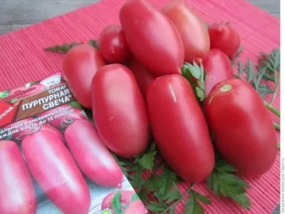 Tomate Lila Kerze