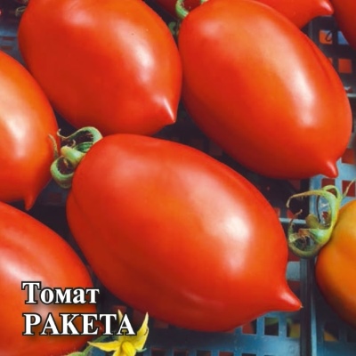 Cohete de tomate