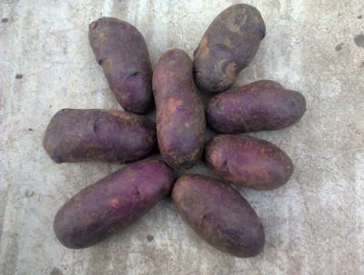 Zigeuner aardappelen