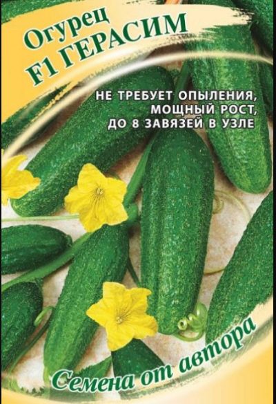 Cucumber Gerasim