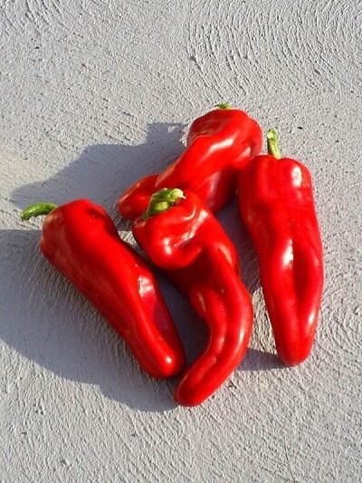 Spanish sweet pepper