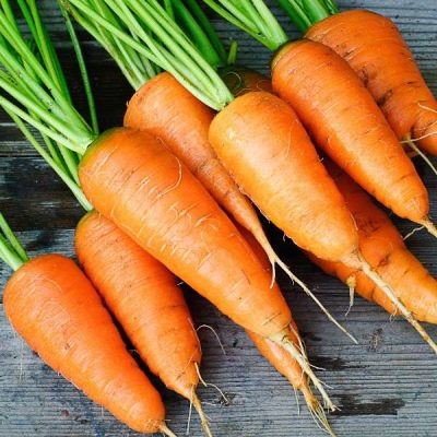 Karotten-Carotel