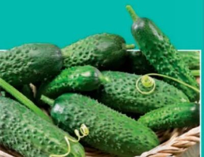 Cucumber Madrilene