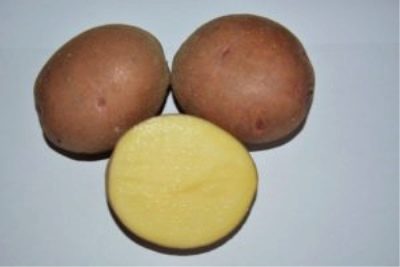 Pershatsvet de cartofi
