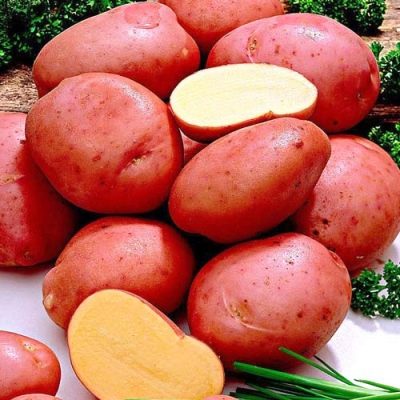 Patatas Romano