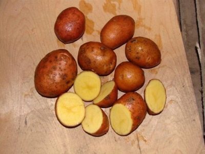 Rosalinde aardappelen