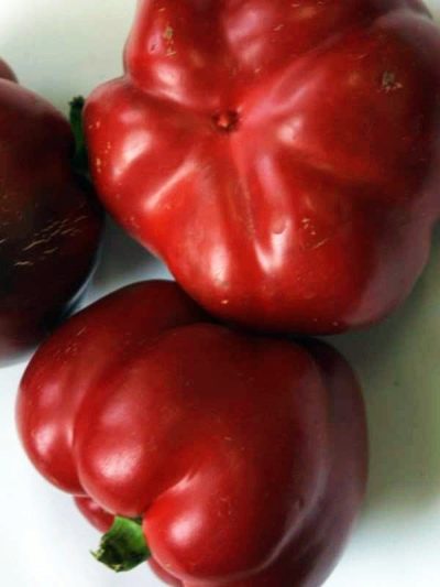 Ruby pepper