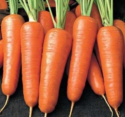 Zanahorias Sentyabrin