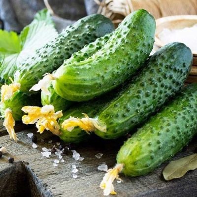 Shosha cucumber