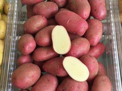 Kartoffeltornado