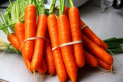 Zanahoria tushon
