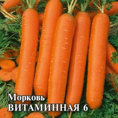 Carrot Vitamin 6