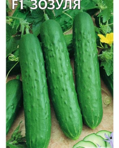 Zozulya's cucumber