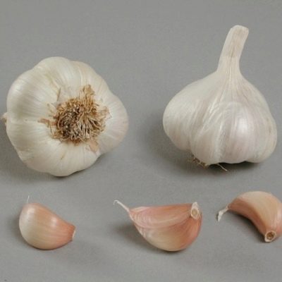 Garlic Flavor