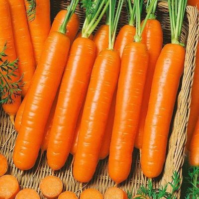 Forto carottes