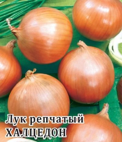 Chalcedony onion
