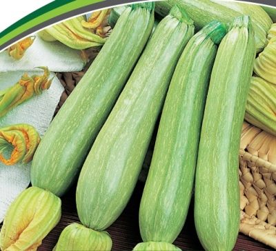 Zucchini-Cavili