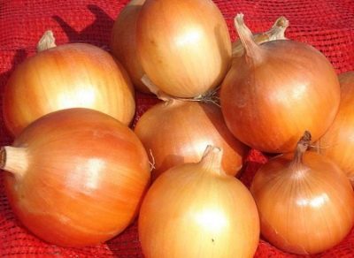Local Rostov onion