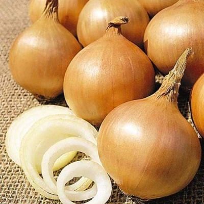 Siberian annual onion