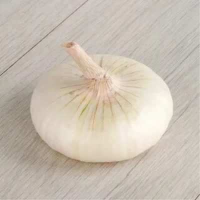 Yalta white onion