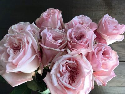 Rose Pink Ohara